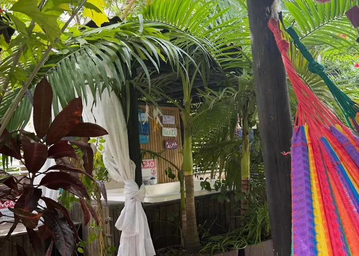 Pousada Floresta Bombinhas